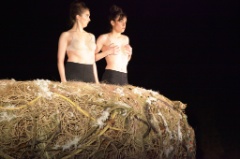 Le Nid 19 * 5616 x 3744 * (11.94MB)